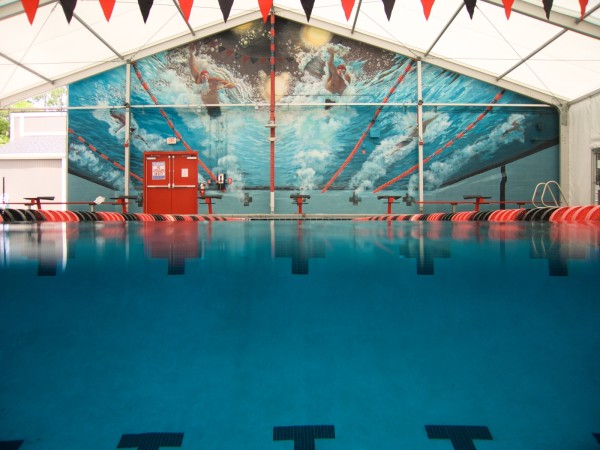 the deep end by Dan Smith