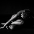 Camille - by Dan Smith