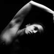 Camille - by Dan Smith